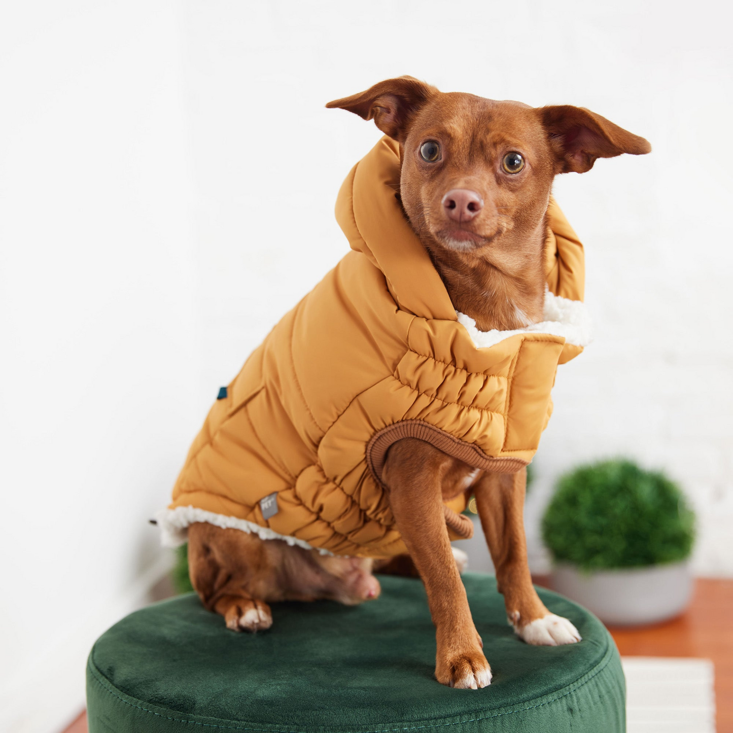 GlowGear™ Jacket – Shine bright, stay warm