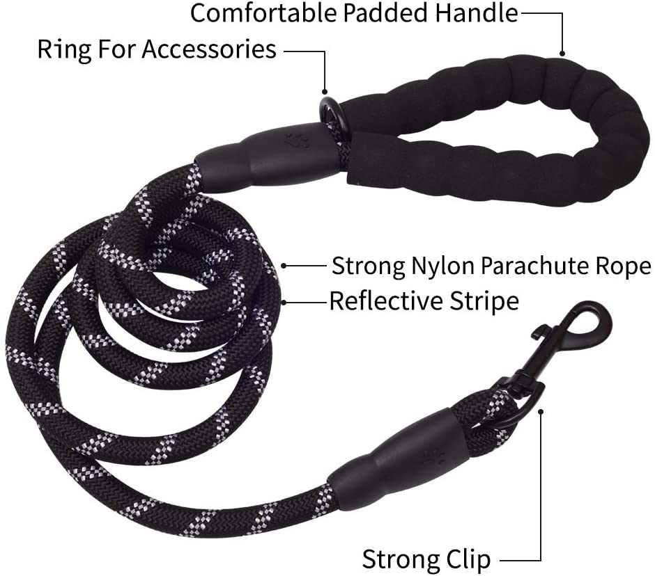 NightPaw™ Leash – Walk bold. Stay seen.