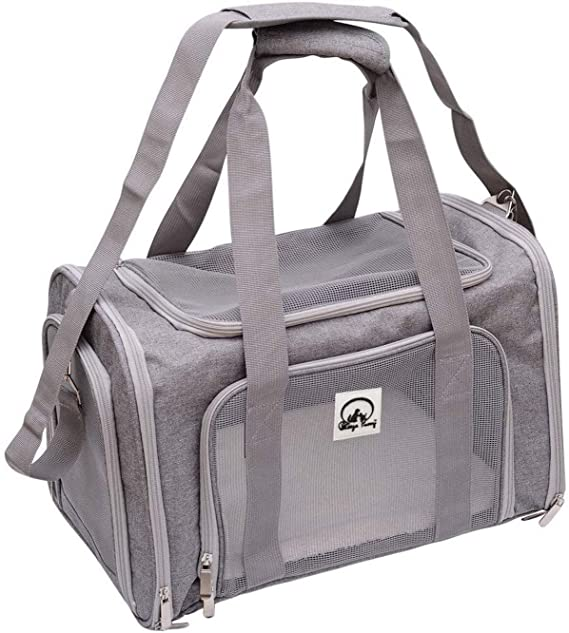 SkyTail™ Carrier – Elevate your pet’s travel experience