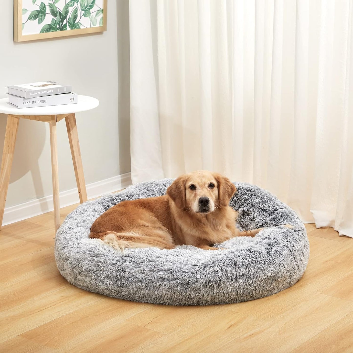 Calming Orthopedic Dog Bed