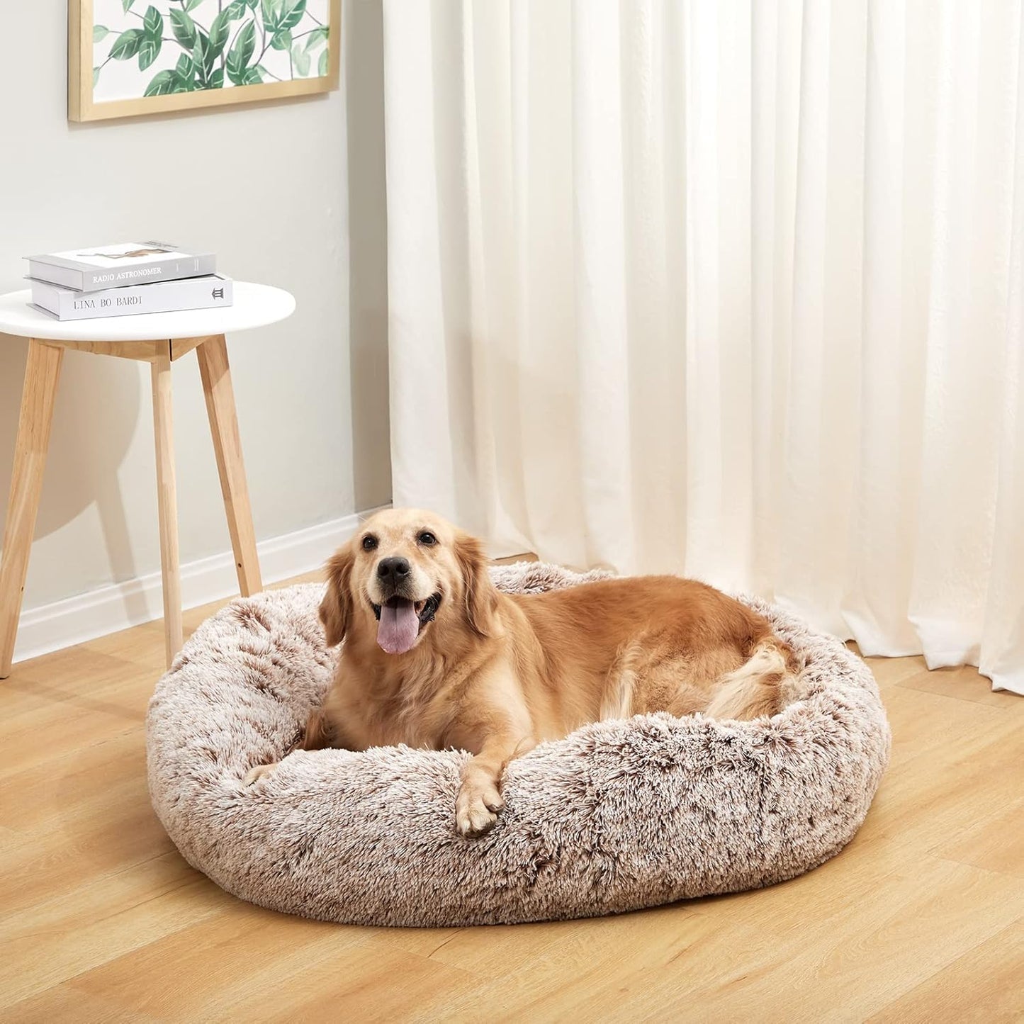 Calming Orthopedic Dog Bed