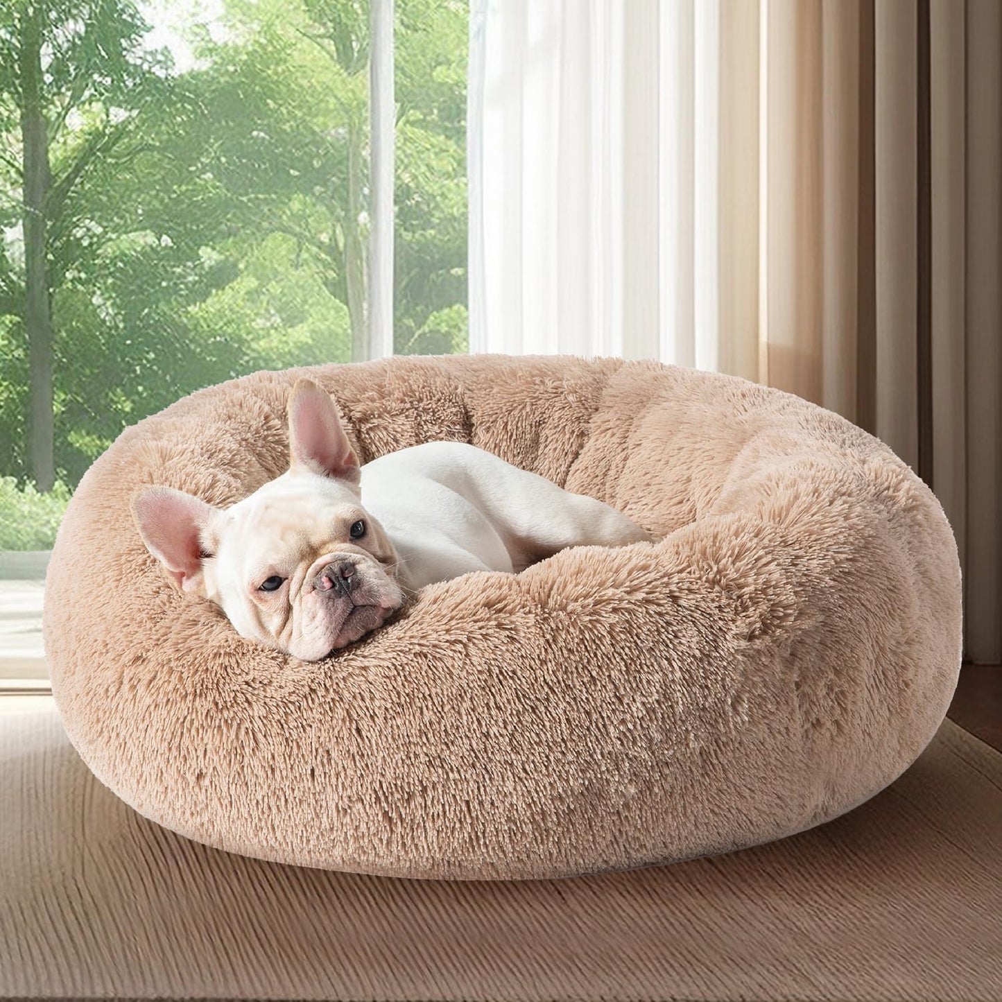 Calming Orthopedic Dog Bed
