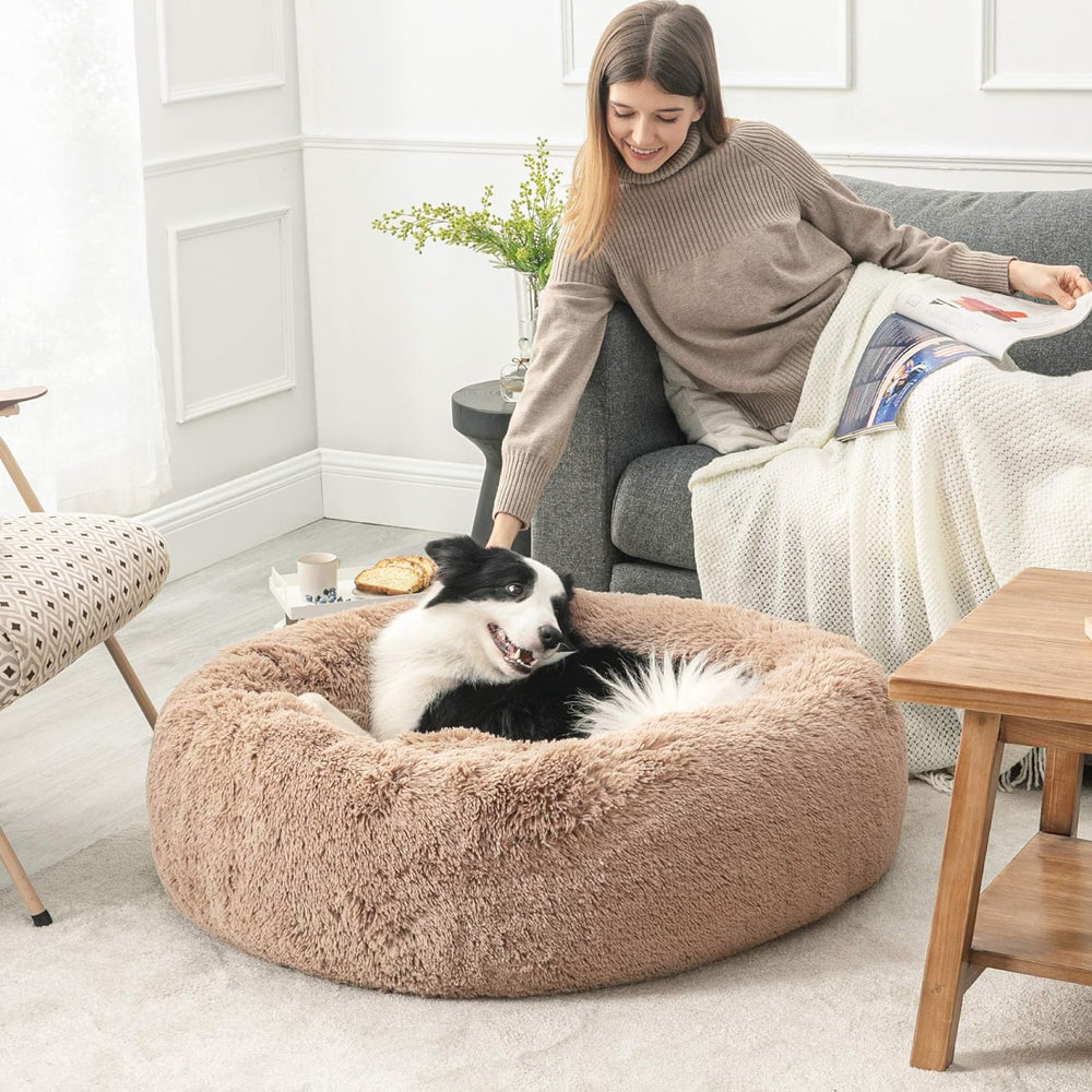 Calming Orthopedic Dog Bed