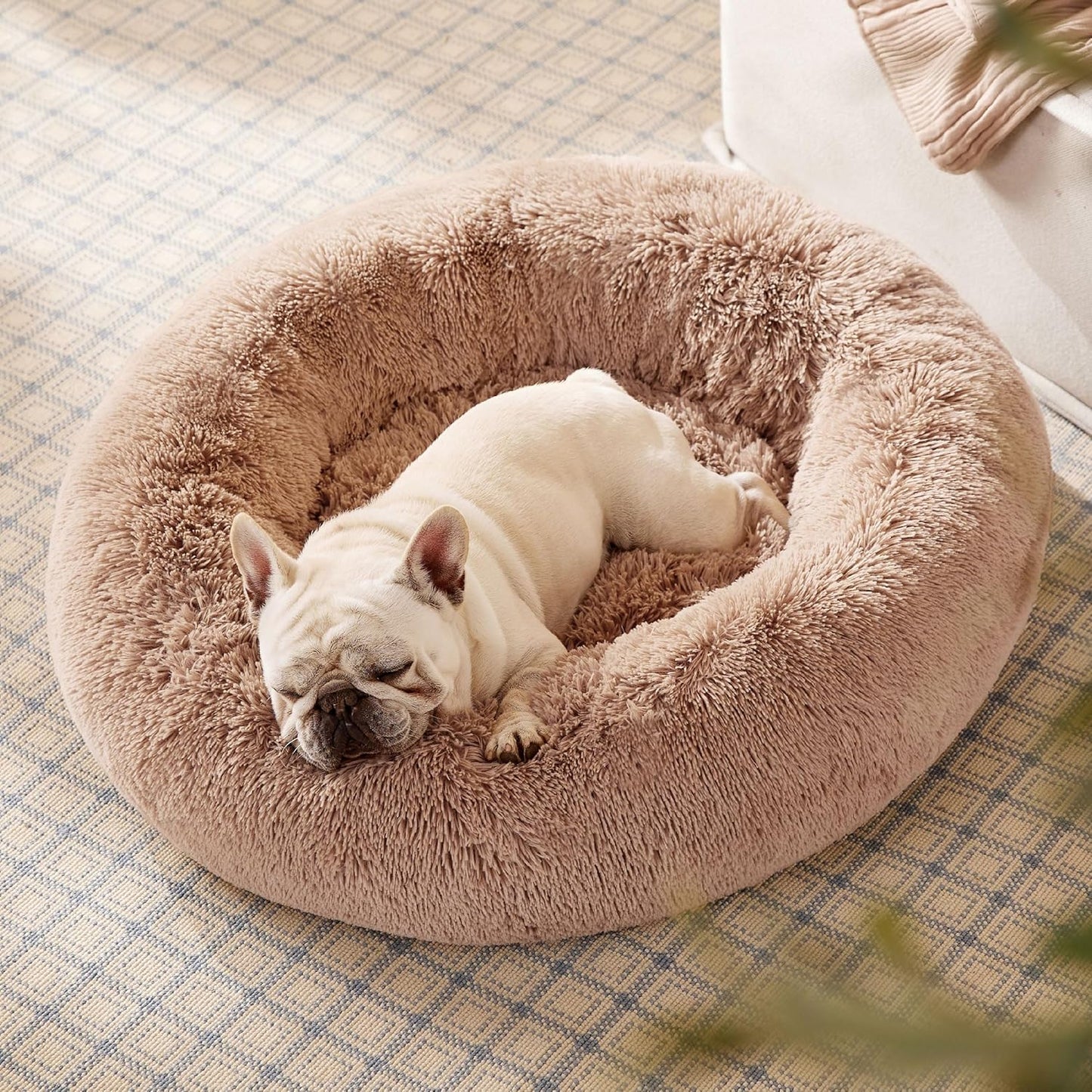 Calming Orthopedic Dog Bed
