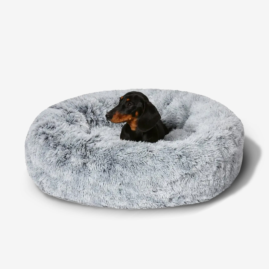 Calming Orthopedic Dog Bed