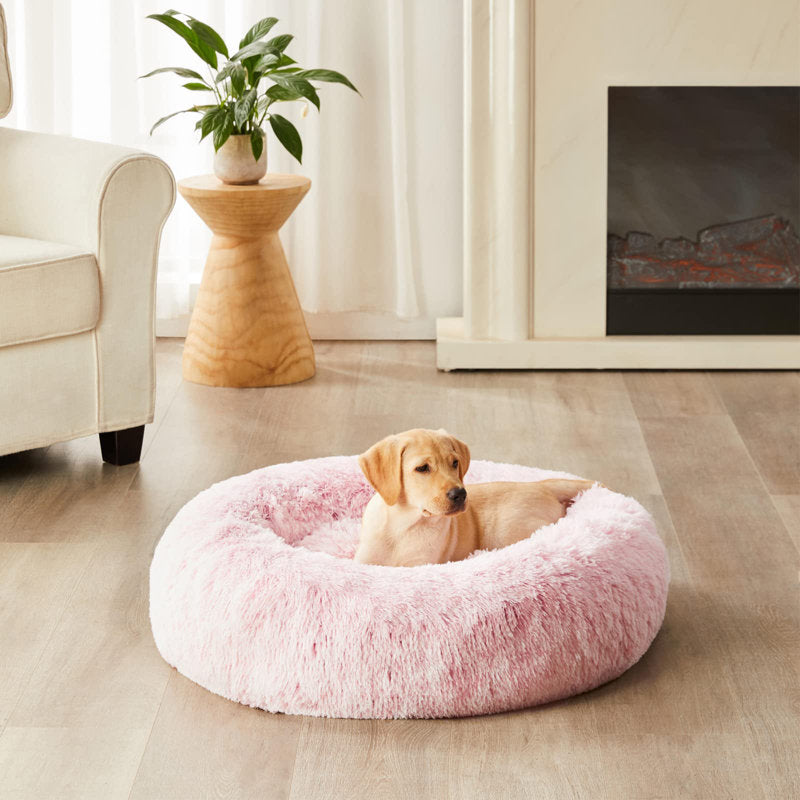 Calming Orthopedic Dog Bed