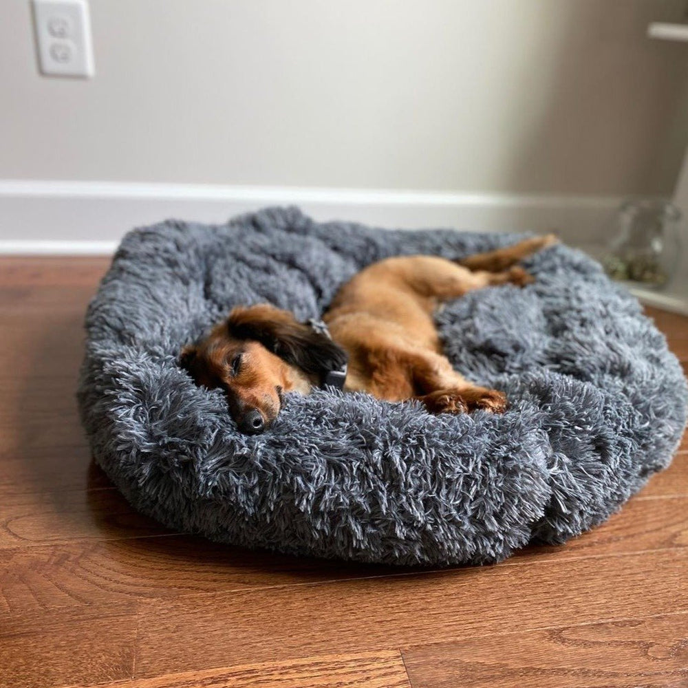 Calming Orthopedic Dog Bed