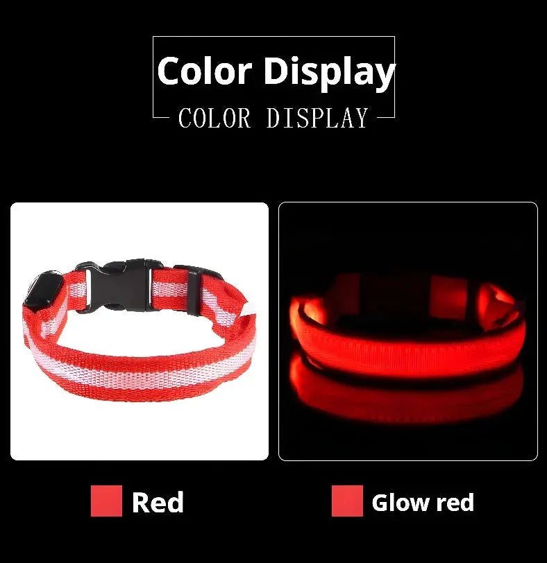Dog Collar Nylon LED Night Safety Flashing Glow In The Dark Pet Dog Leash pet Dogs Luminous Fluorescent dog accessories collar