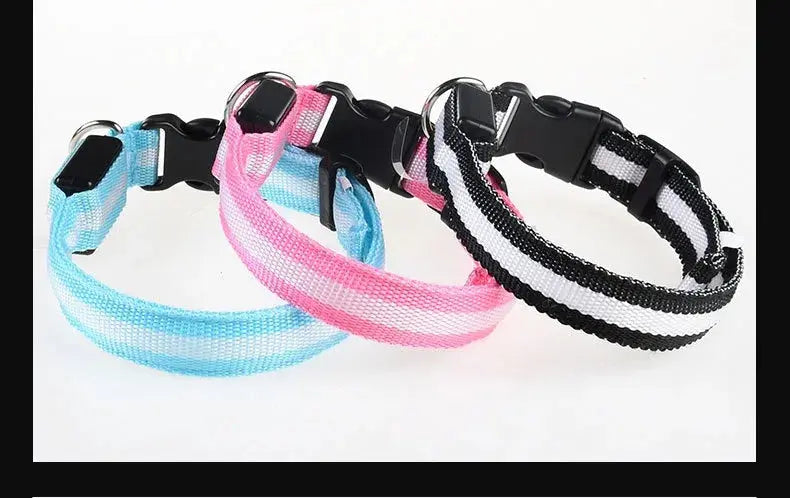 Dog Collar Nylon LED Night Safety Flashing Glow In The Dark Pet Dog Leash pet Dogs Luminous Fluorescent dog accessories collar
