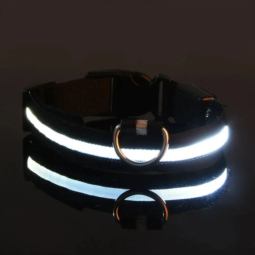 Dog Collar Nylon LED Night Safety Flashing Glow In The Dark Pet Dog Leash pet Dogs Luminous Fluorescent dog accessories collar