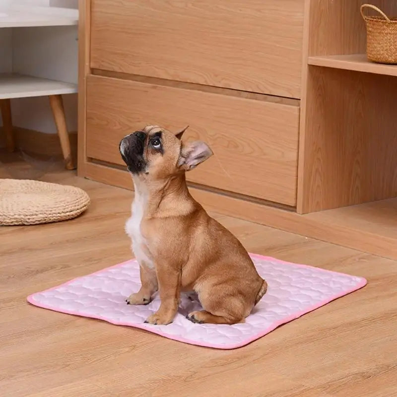 Cooling Dog Mat for Summer | Breathable & Washable Pet Bed for Dogs and Cats