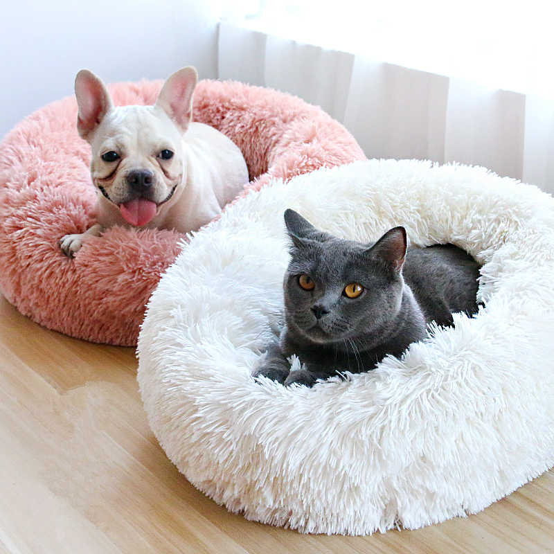 Calming Orthopedic Dog Bed