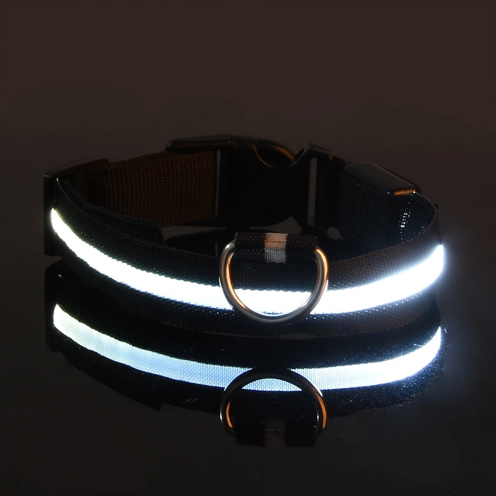 Dog Collar Nylon LED Night Safety Flashing Glow In The Dark Pet Dog Leash pet Dogs Luminous Fluorescent dog accessories collar