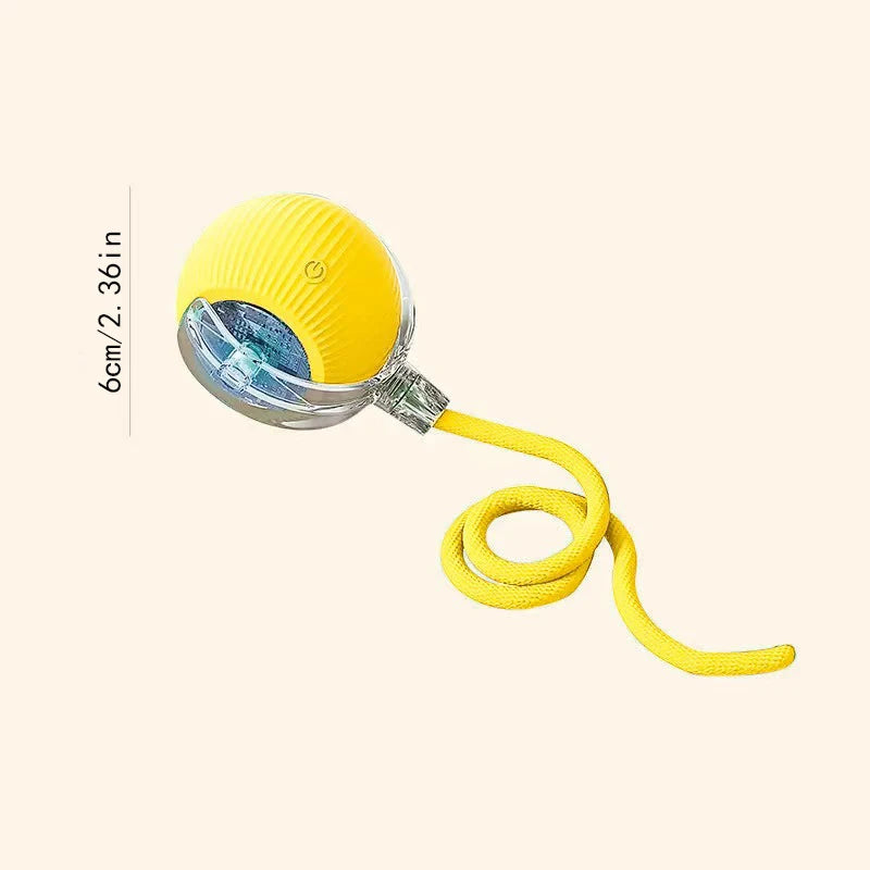 Smart Dog Interactive Pet Toy