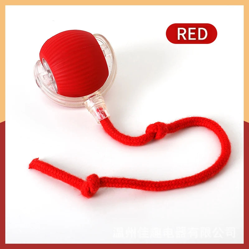 Smart Dog Interactive Pet Toy