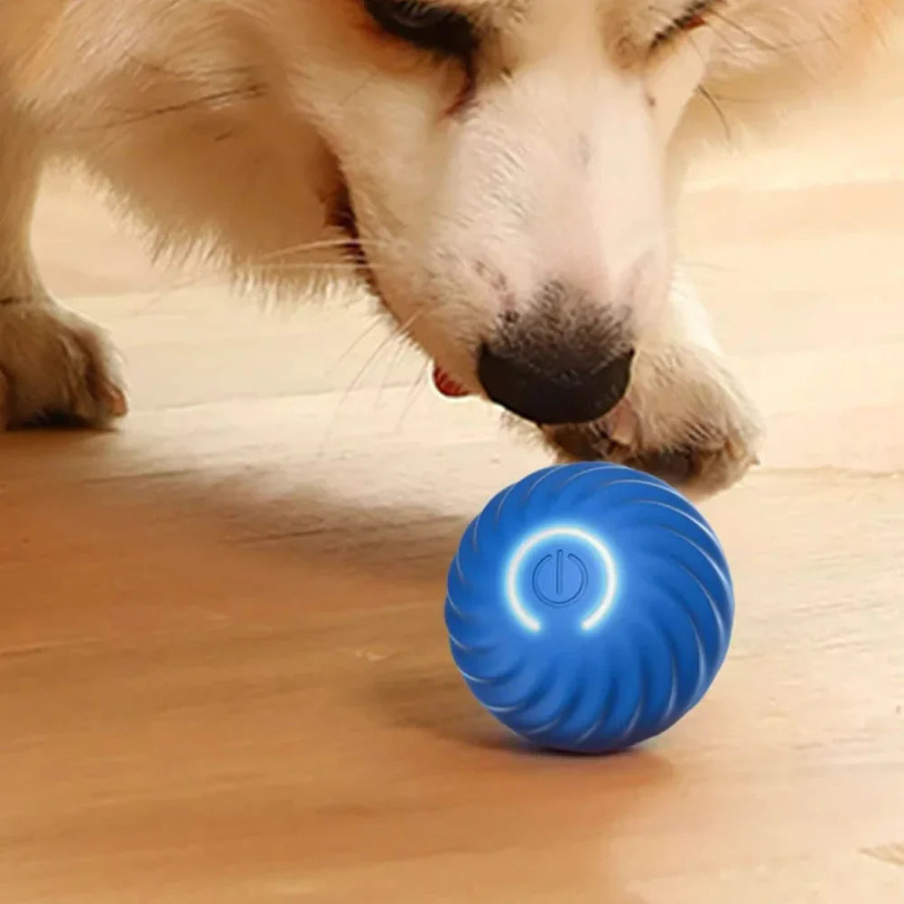 Smart Dog Interactive Pet Toy