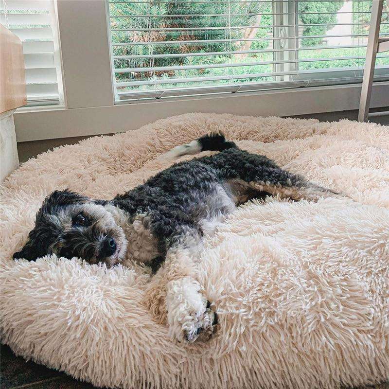 Calming Orthopedic Dog Bed