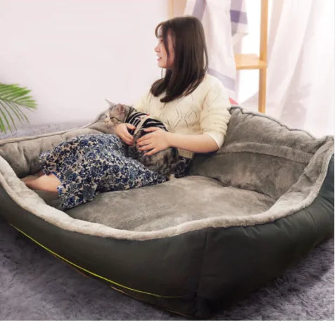 Sofa Style Dog Bed – Cozy Comfort with a Touch of Style