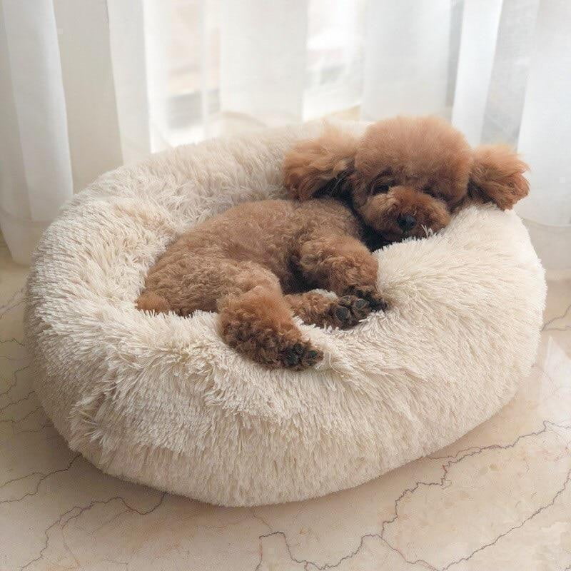 Calming Orthopedic Dog Bed