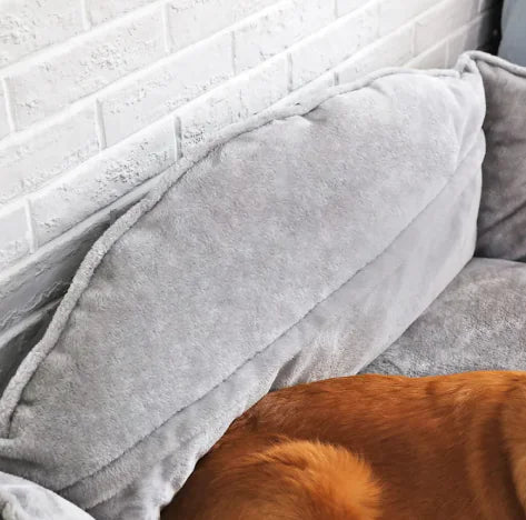 Sofa Style Dog Bed – Cozy Comfort with a Touch of Style