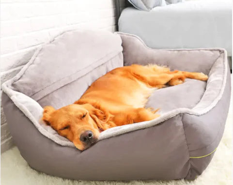 Sofa Style Dog Bed – Cozy Comfort with a Touch of Style