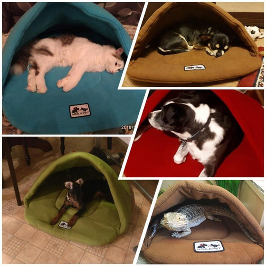 CozyPaw™ Nest – Where comfort meets cuddles