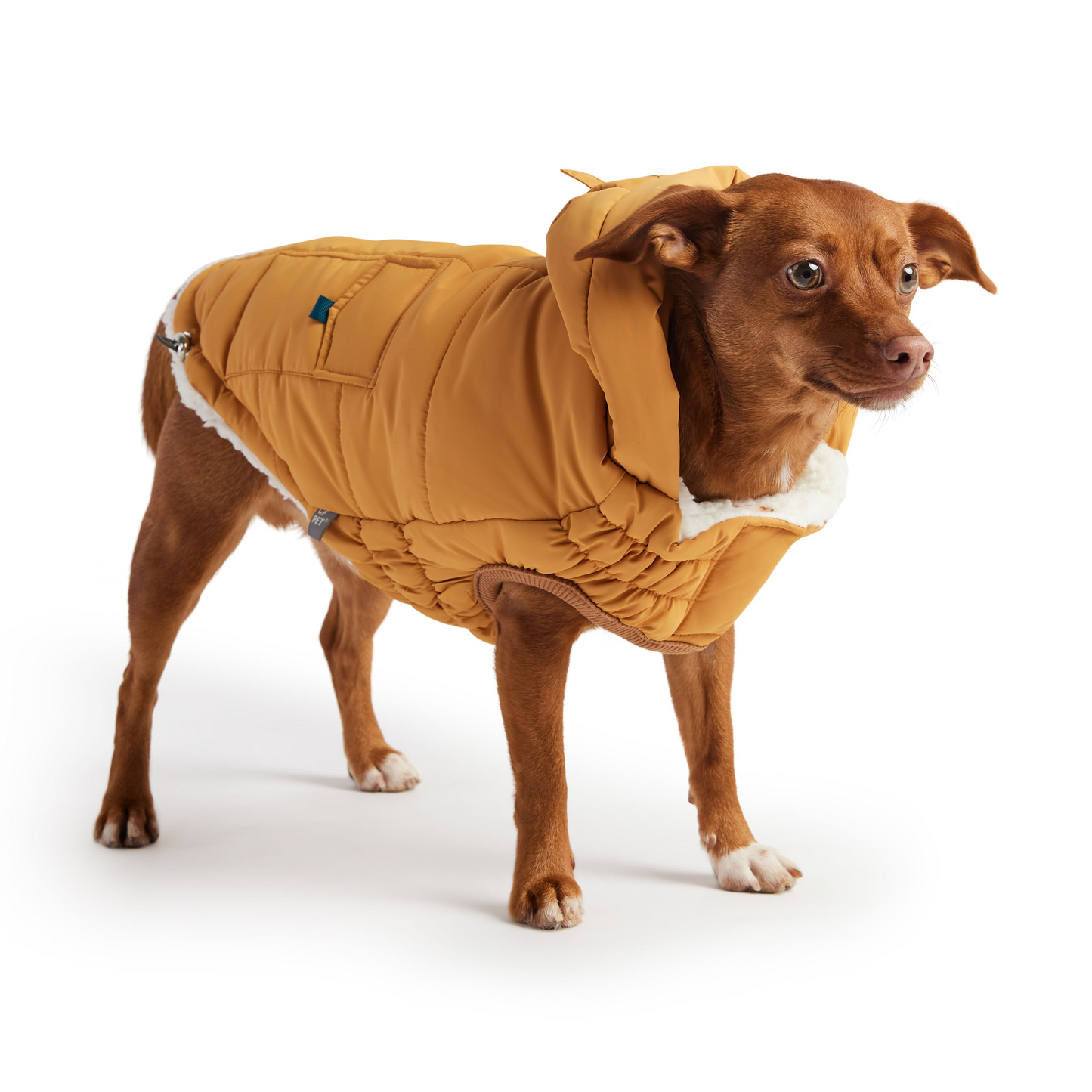 GlowGear™ Jacket – Shine bright, stay warm