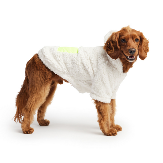 SnugglePup™ Hoodie – White Edition – Wrapped in warmth and cuteness