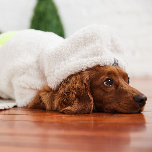 SnugglePup™ Hoodie – White Edition – Wrapped in warmth and cuteness