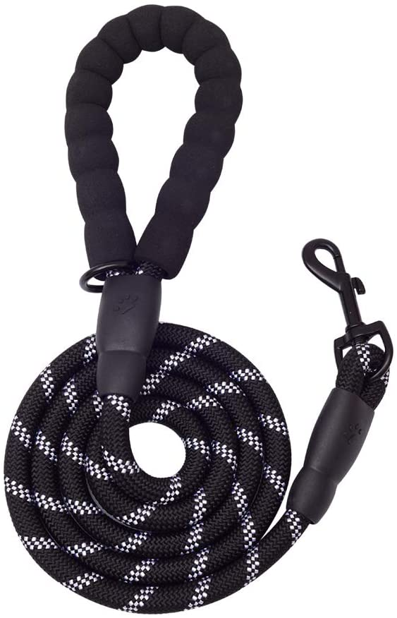 NightPaw™ Leash – Walk bold. Stay seen.