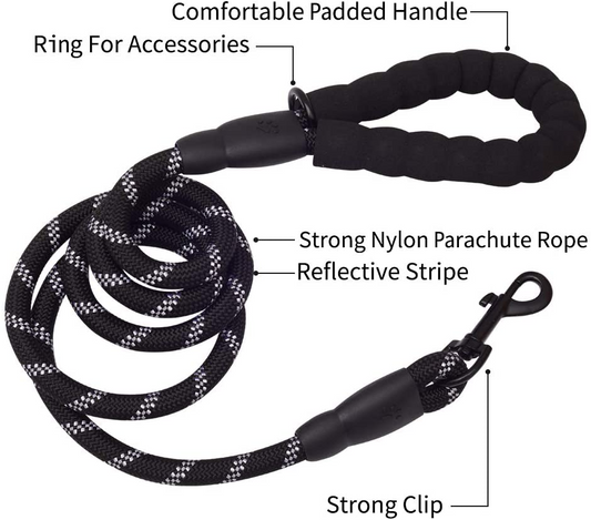 NightPaw™ Leash – Walk bold. Stay seen.
