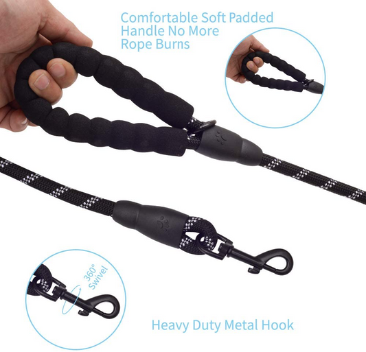 NightPaw™ Leash – Walk bold. Stay seen.