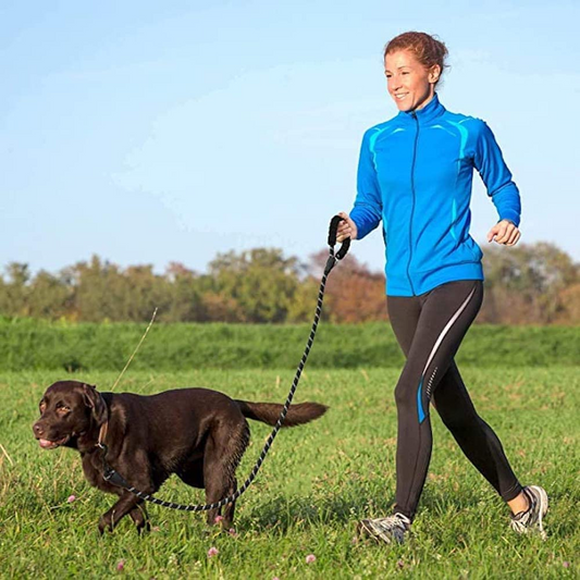 NightPaw™ Leash – Walk bold. Stay seen.