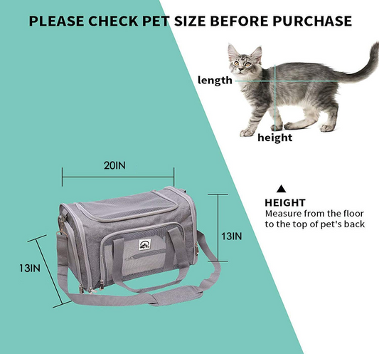 SkyTail™ Carrier – Elevate your pet’s travel experience