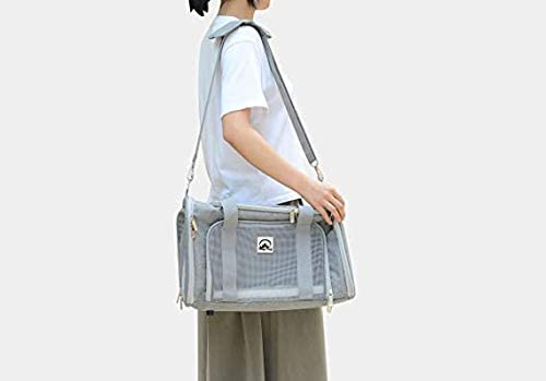 SkyTail™ Carrier – Elevate your pet’s travel experience