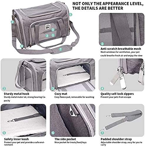 SkyTail™ Carrier – Elevate your pet’s travel experience