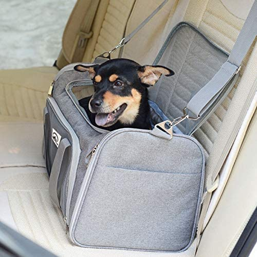 SkyTail™ Carrier – Elevate your pet’s travel experience