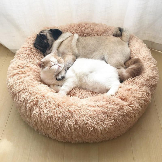 Calming Orthopedic Dog Bed