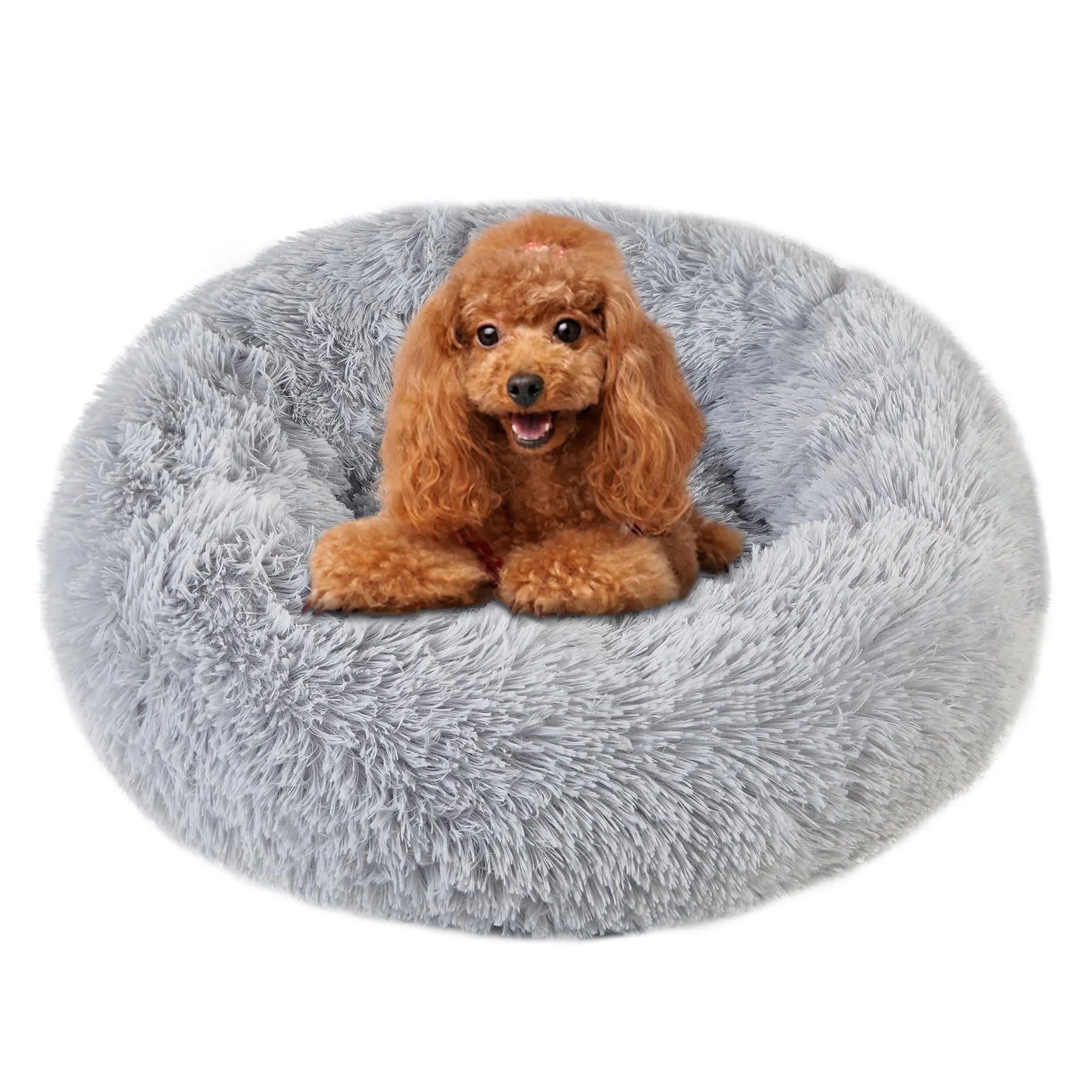 Dog lying on a fluffy gray pet bed against a white background