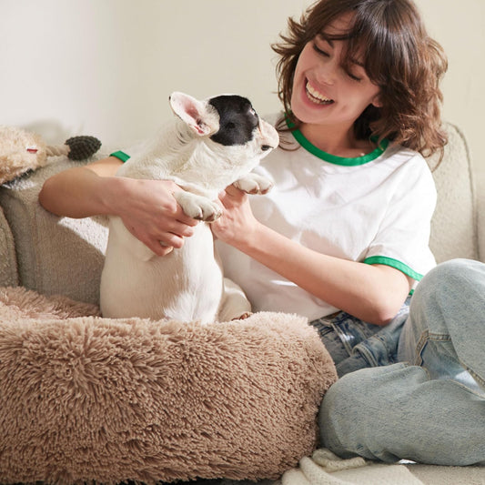 Calming Orthopedic Dog Bed