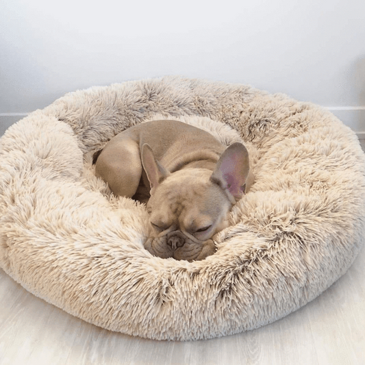 Calming Orthopedic Dog Bed