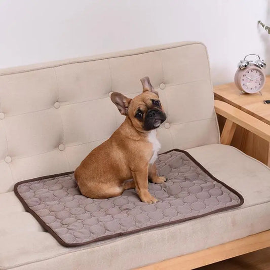 Cooling Dog Mat for Summer | Breathable & Washable Pet Bed for Dogs and Cats