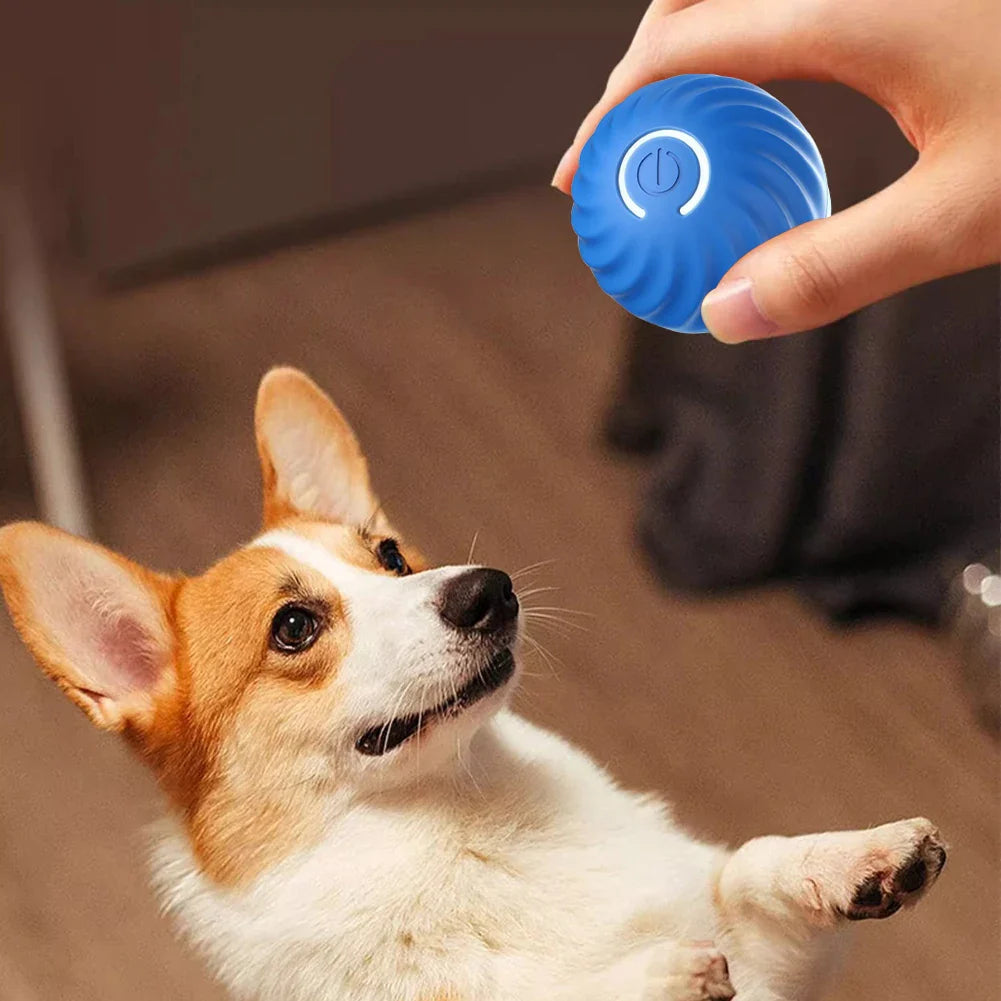 Smart Dog Interactive Pet Toy