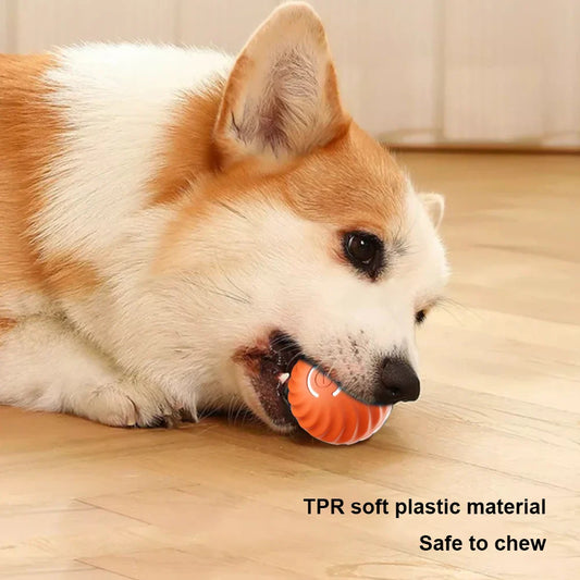 Smart Dog Interactive Pet Toy