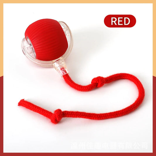 Smart Dog Interactive Pet Toy