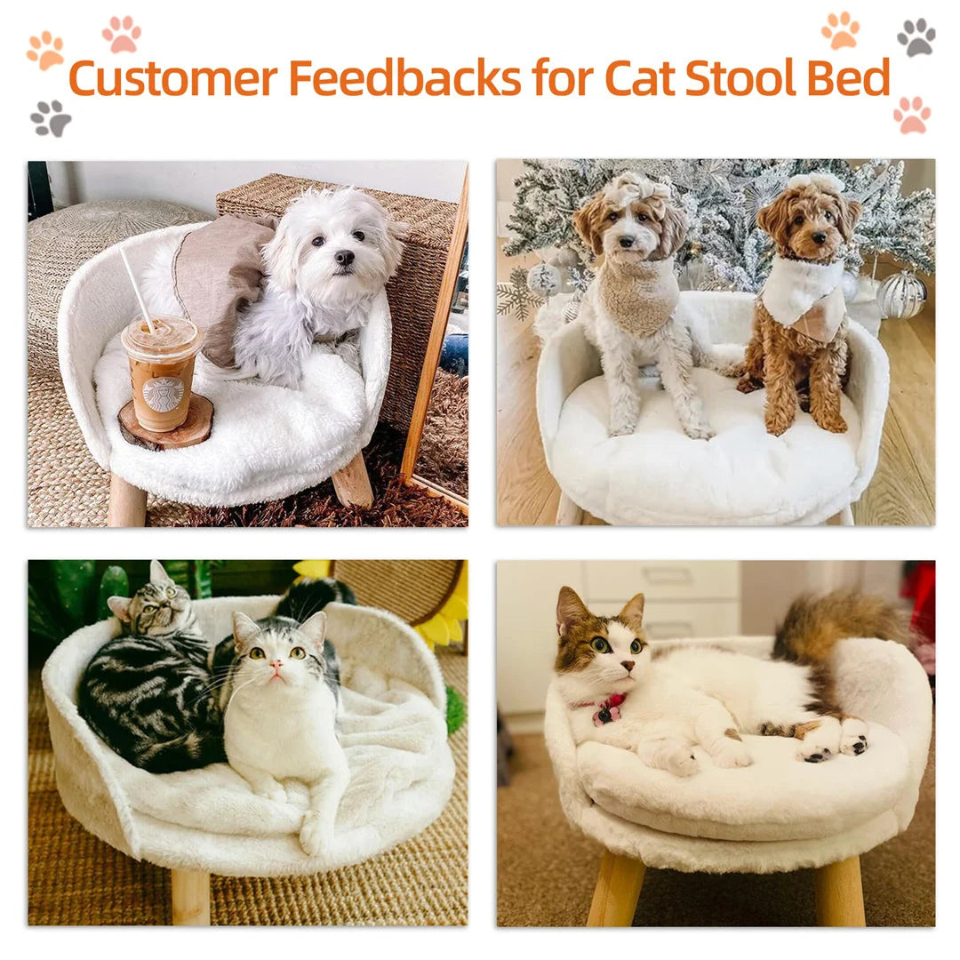 NordicPaws Elevated Bed: Style, Comfort & Waterproof Ease