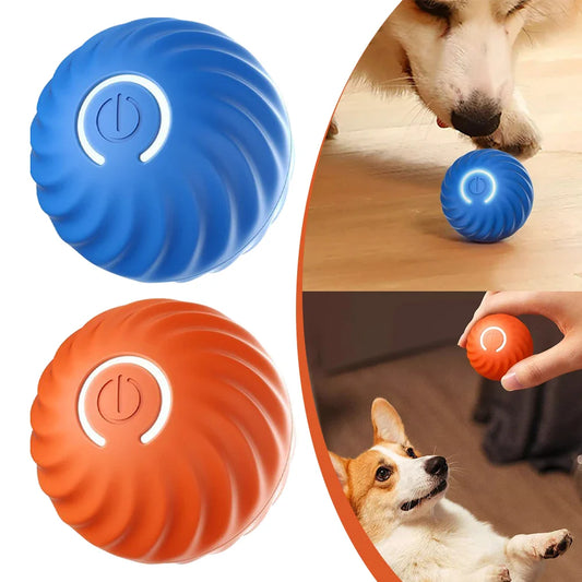 Smart Dog Interactive Pet Toy