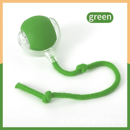 Smart Dog Interactive Pet Toy