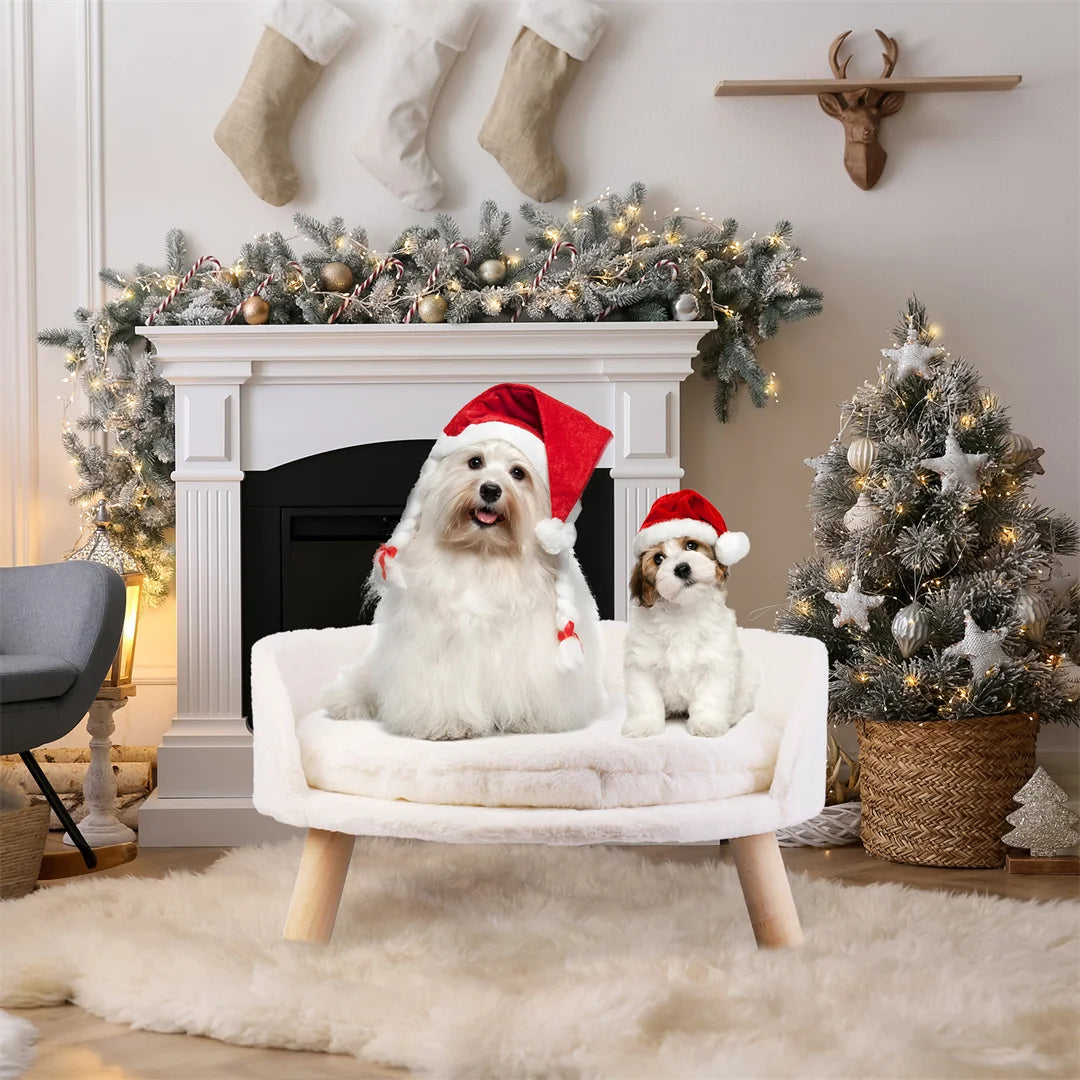 NordicPaws Elevated Bed: Style, Comfort & Waterproof Ease