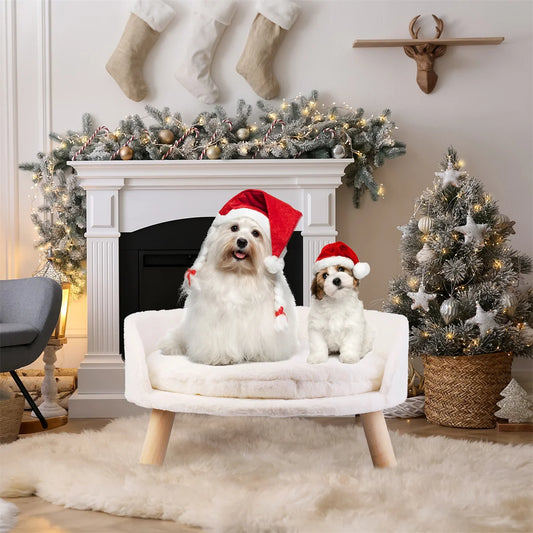 NordicPaws Elevated Bed: Style, Comfort & Waterproof Ease